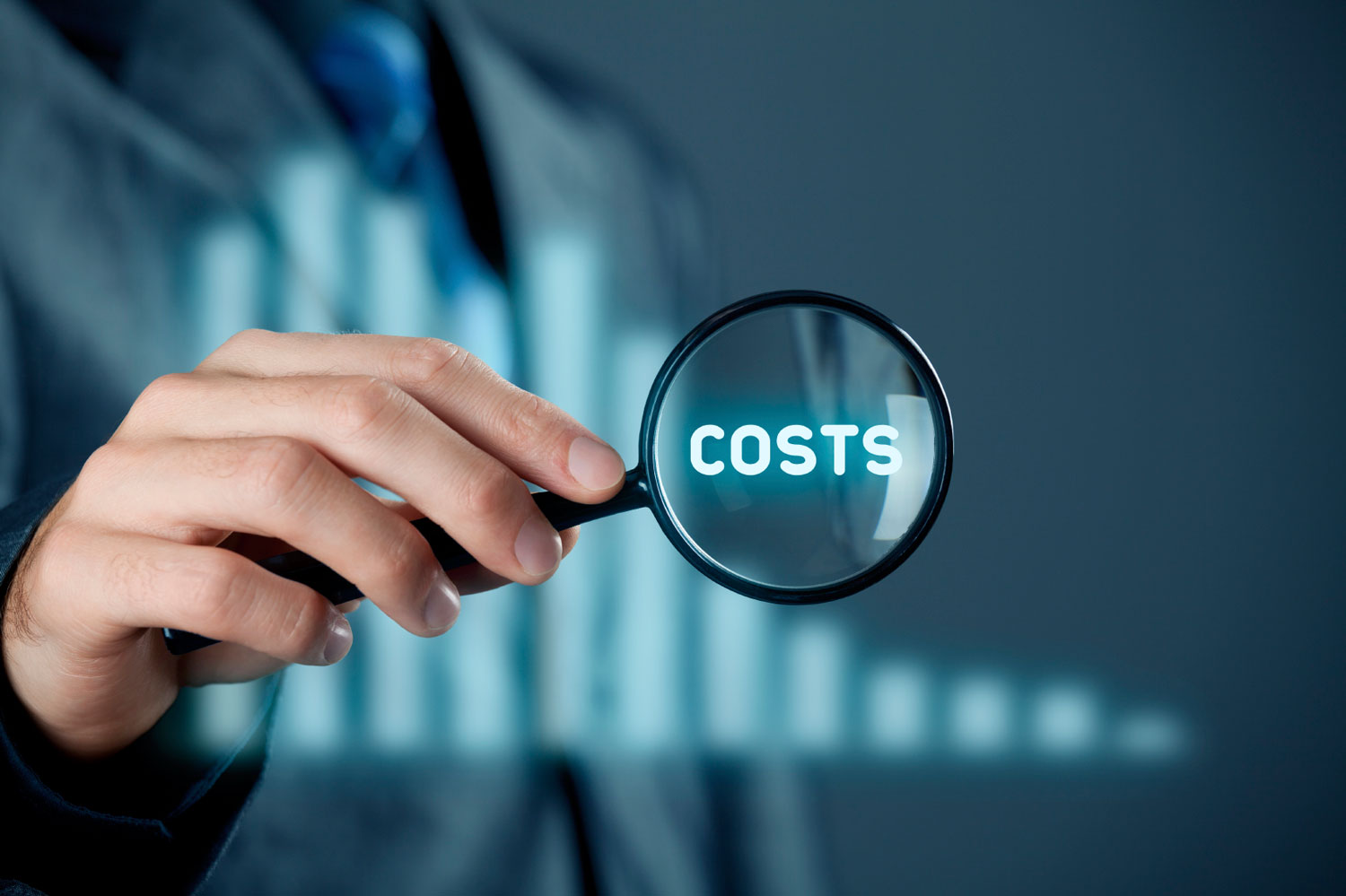 Server Virtualization Costs - Arlington